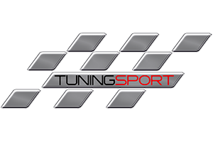 В чемпионате WTCC появится российский пилот