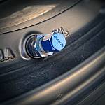 Ниппеля колёсные RAYS Style синие (4 штуки)